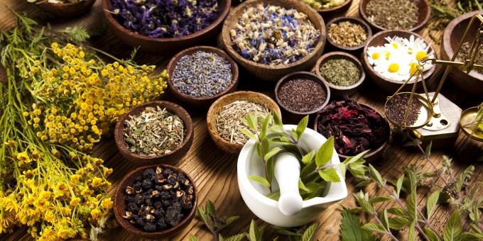 What are herbal treatments? Some basics explained